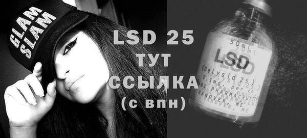гидра Вяземский