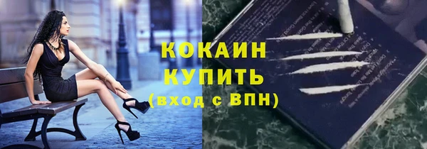 гидра Вяземский