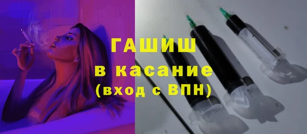 гидра Вяземский