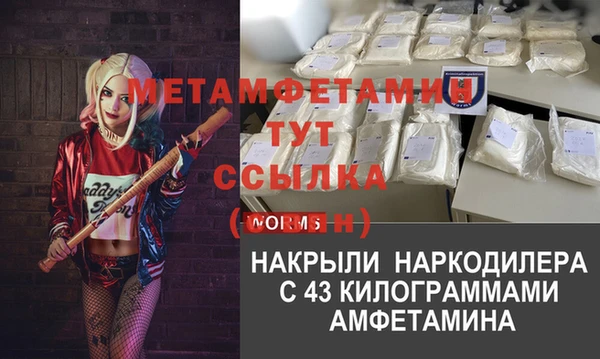 шишки Вязьма