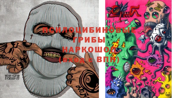 шишки Вязьма
