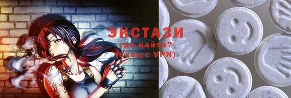 гидра Вяземский
