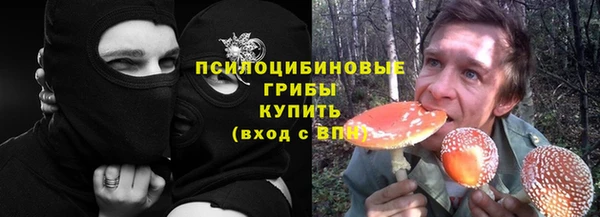 гидра Вяземский