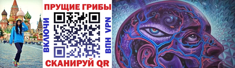 Псилоцибиновые грибы ЛСД  гидра как войти  Карачев 